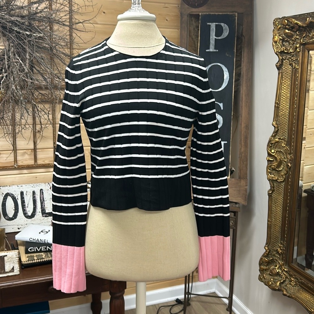 Zara Cropped style top